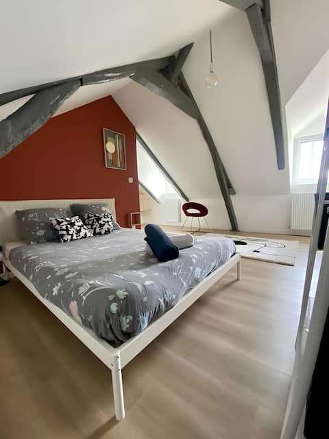 Large family home with garden in Rouen