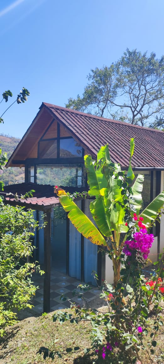 A tiny house with an A-frame roof is framed by vibrant greenery. Tall banana plants and colorful flowers are visible in the foreground, while a view of the mountains can be glimpsed through the large windows. The setting reflects a serene natural environment.