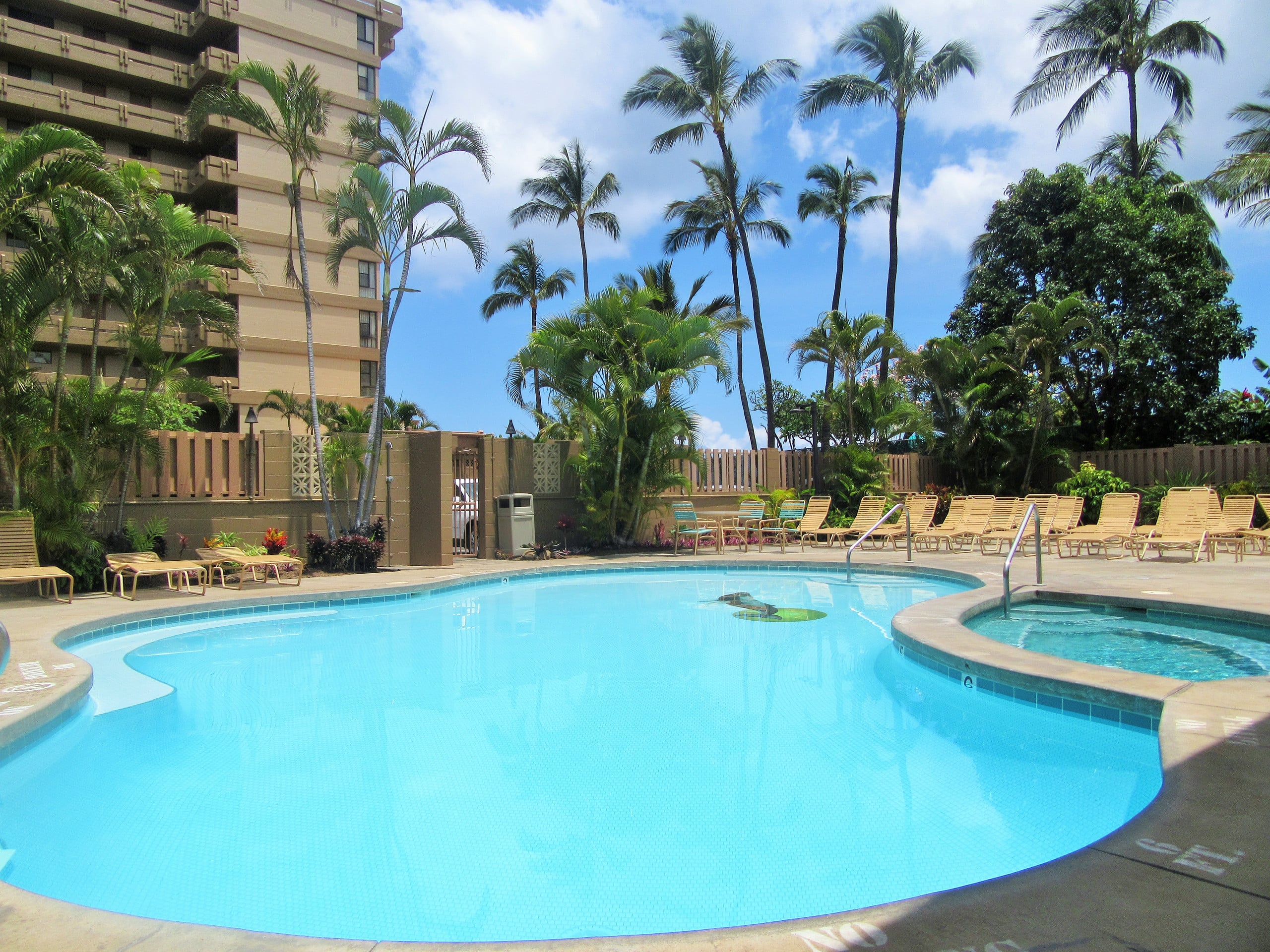 Oceanfront King Bed Renovated Maui Kai Condo MK806 - Image 83