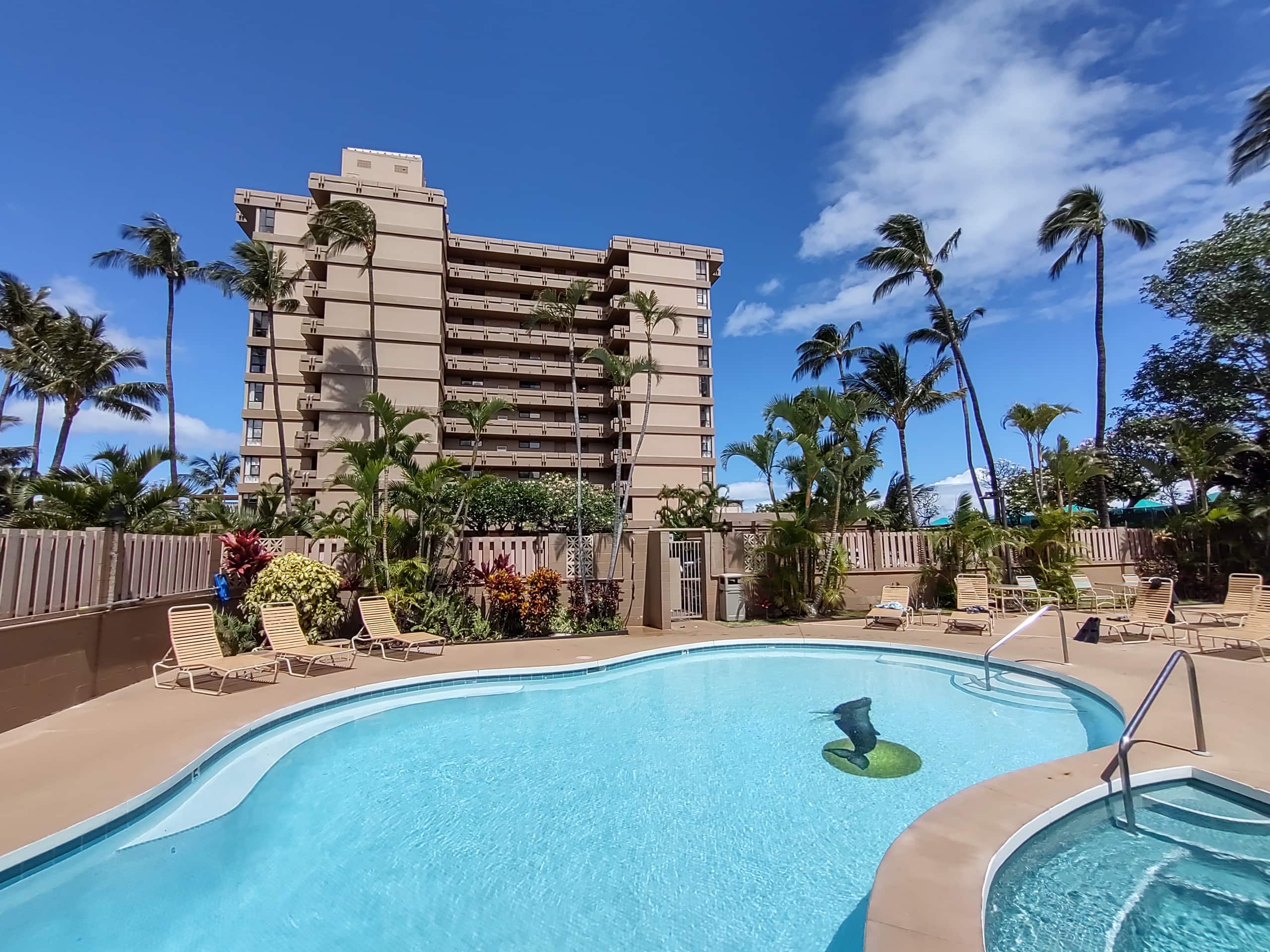 Oceanfront King Bed Renovated Maui Kai Condo MK806 - Image 88