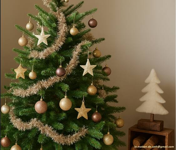 Spacious House · Comfort · AC · Tram · Parkings gallery image 2