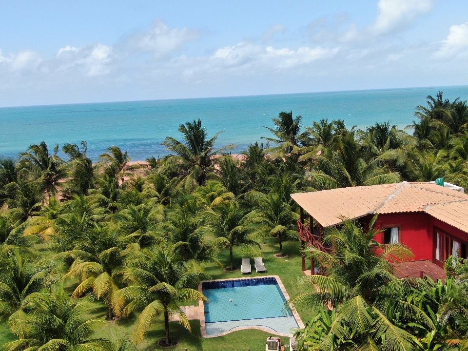An aerial view showcases a vibrant garden filled with palm trees surrounding a clear blue swimming pool. In the background, the expansive ocean stretches to the horizon under a partly cloudy sky, with a terracotta-roofed house nestled within the lush landscape.