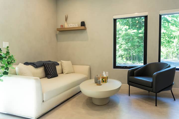 The sleeper sofa perfect for a friend, child or 3rd wheel