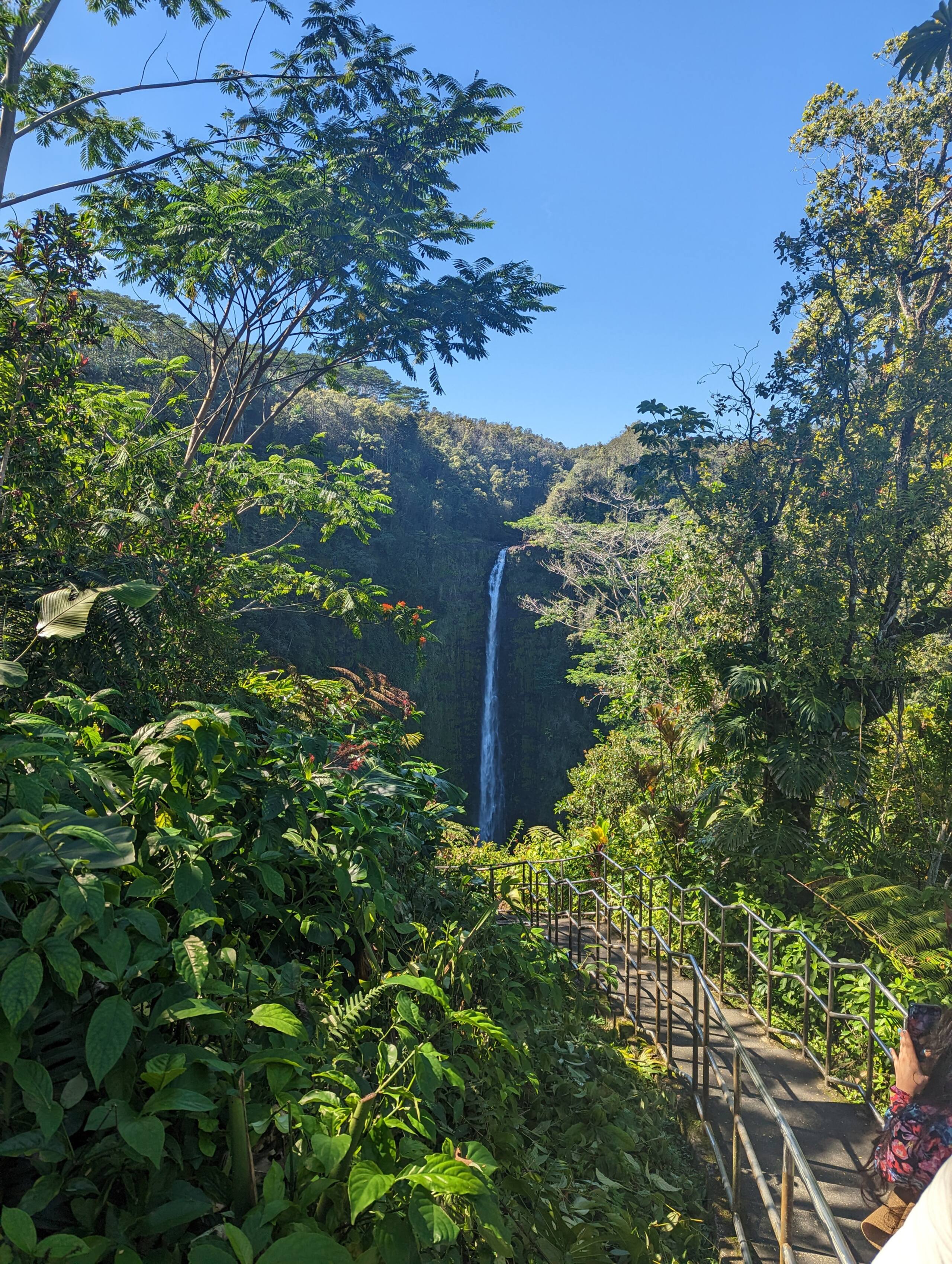 Guesthouse in Keaau · ★4.95 · 1 bedroom · 2 beds · 1 bath - Image 16