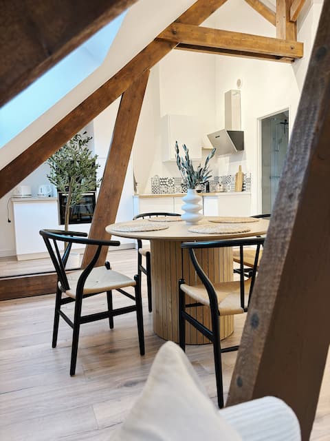LE COCON - Apartment in downtown Amiens