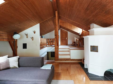 Top performing Airbnb: Great duplex apartment for families in Ostschweiz