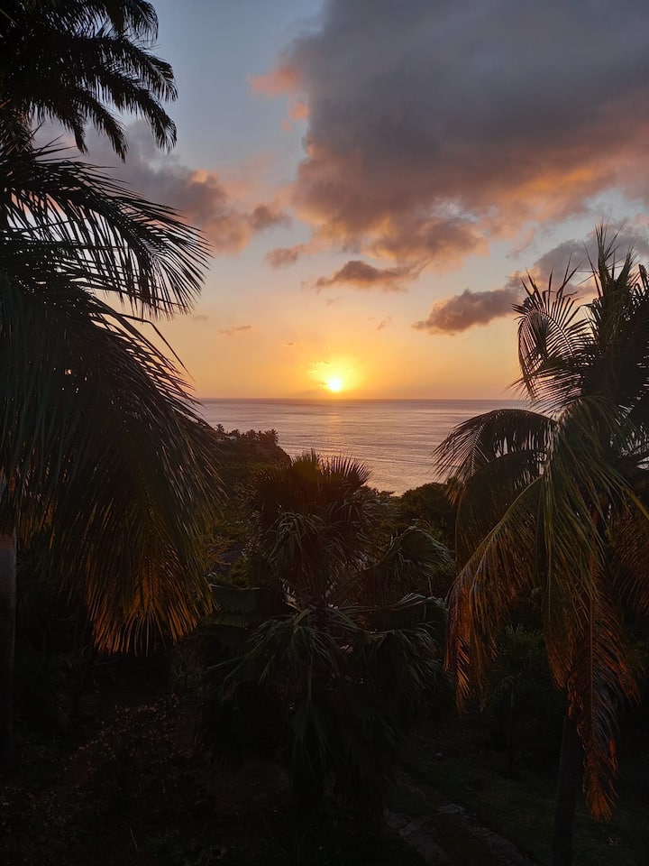 Enchanting Private Retreat - Montserrat