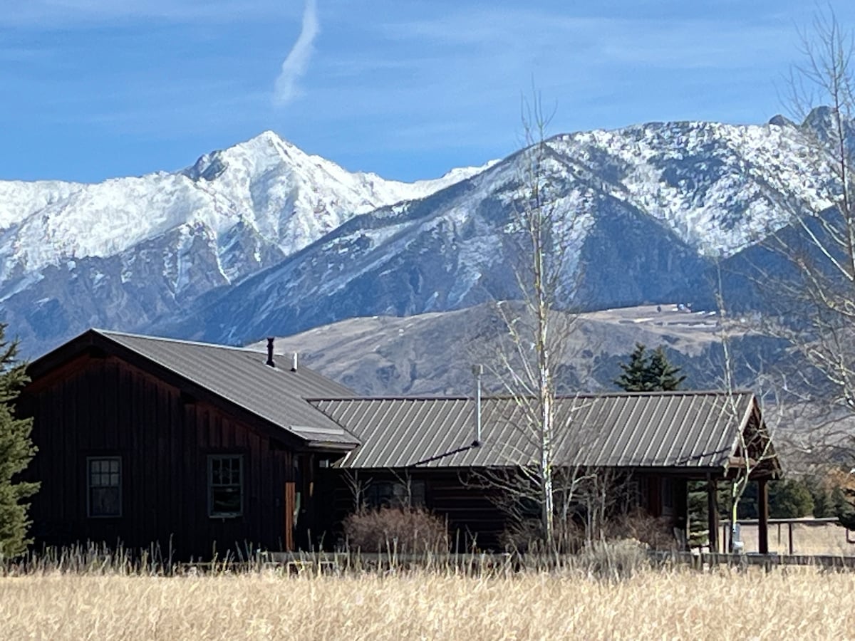 A rustic log cabin is set against a backdrop of snow-capped mountains. The structure features a metal roof and a cozy appearance. Tall grasses surround the cabin, while trees are scattered nearby, creating a serene outdoor environment.