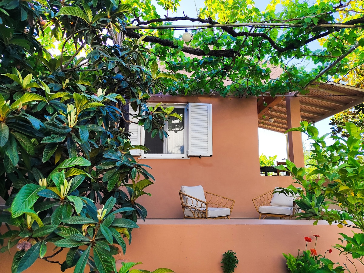 A charming outdoor seating area is nestled among lush greenery, featuring two comfortable chairs placed beneath a shaded pergola. Light filters through the leaves overhead, creating a serene spot for relaxation, framed by vibrant plants and flowers.