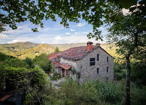 Experience rustic off-grid life in the wilderness