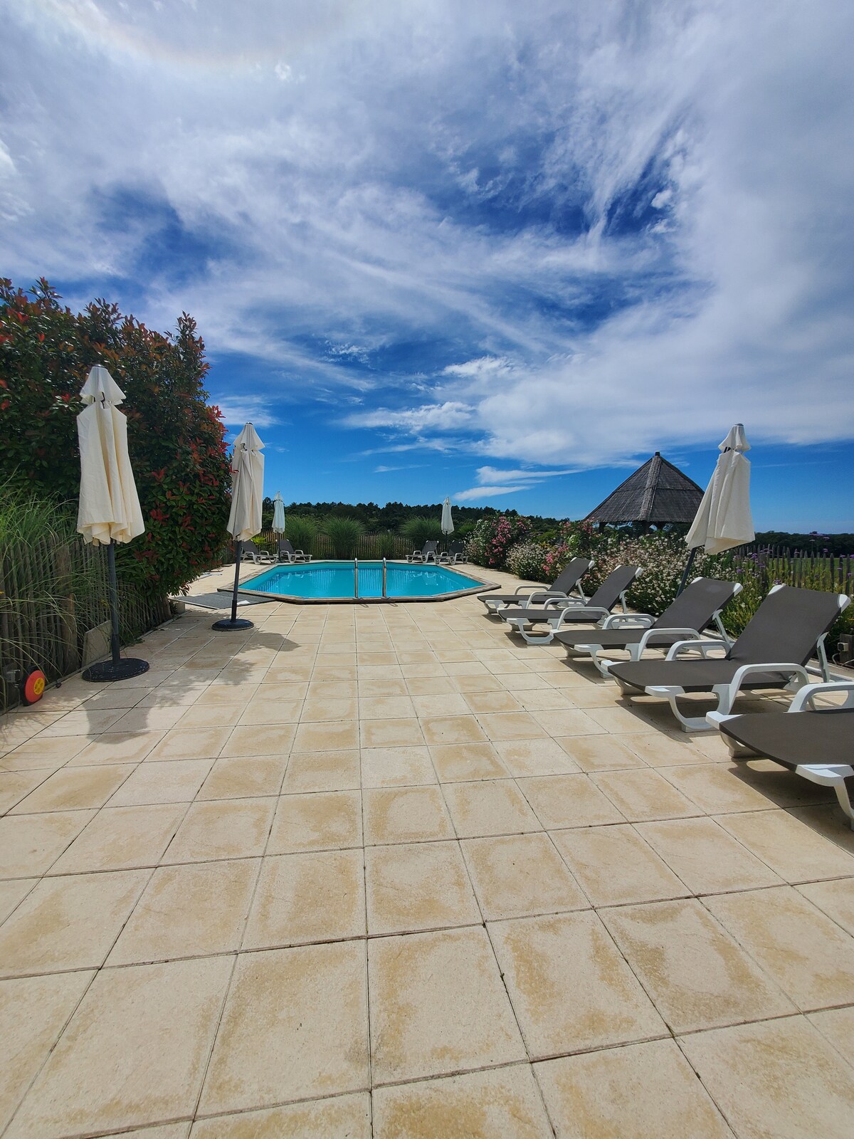 A sunlit patio surrounds a rectangular swimming pool, featuring several lounge chairs arranged neatly along one side. Umbrellas stand in place for shade, while greenery and flowering plants border the area, contributing to a serene outdoor setting under a blue sky with wispy clouds.