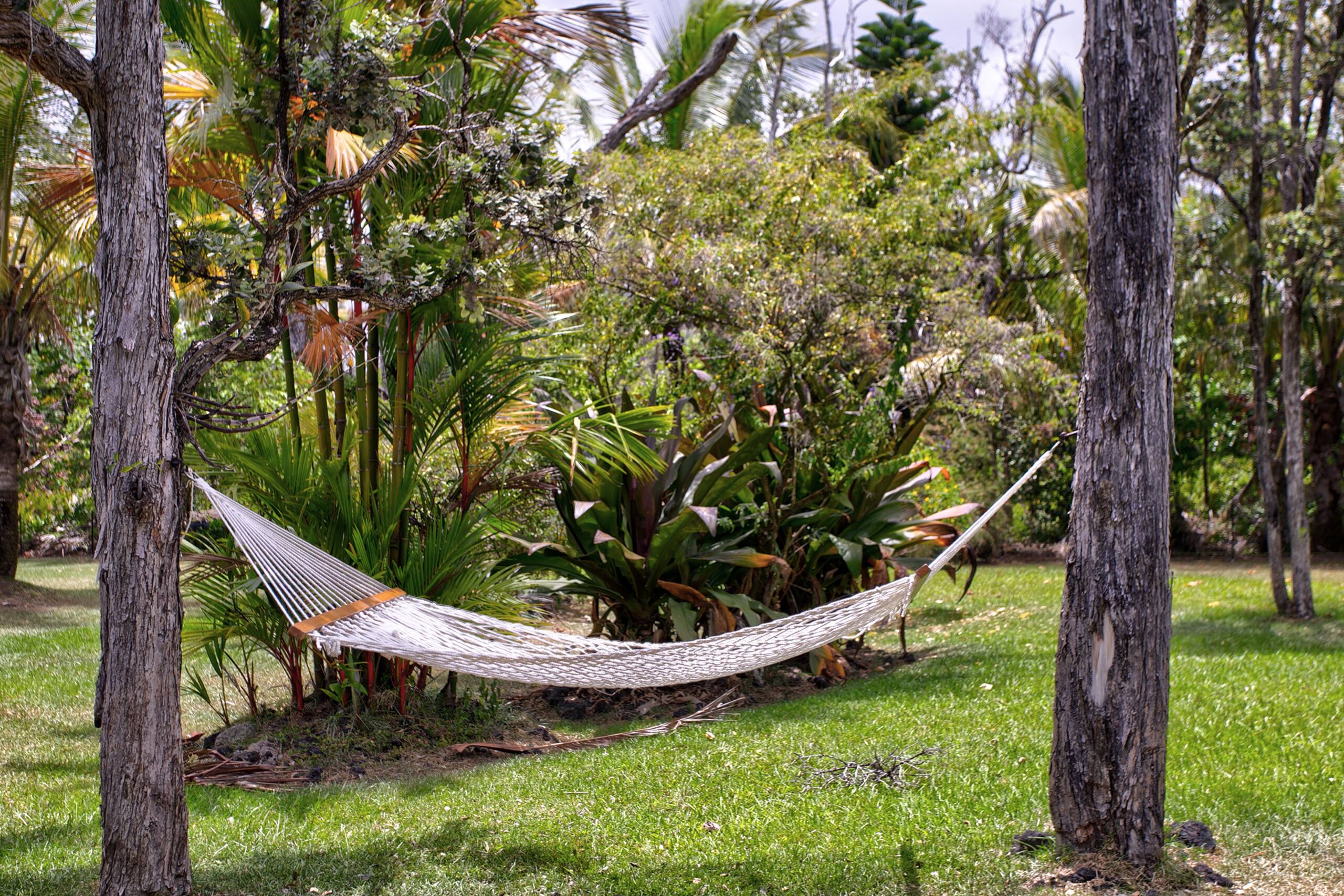 Home in Pahoa · ★4.86 · 1 bedroom · 1 bed · 1 bath - Image 20