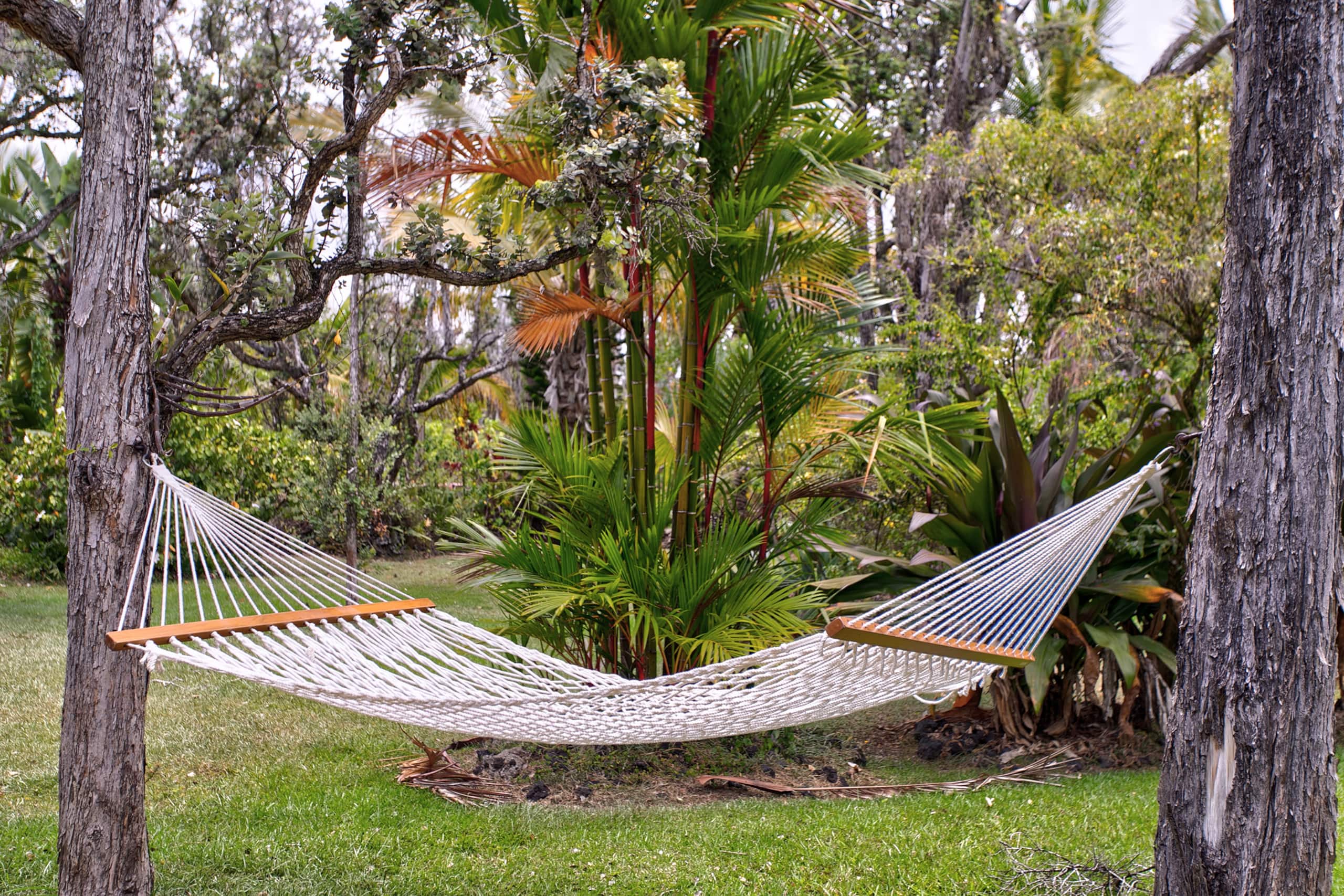 Home in Pahoa · ★4.86 · 1 bedroom · 1 bed · 1 bath - Image 19