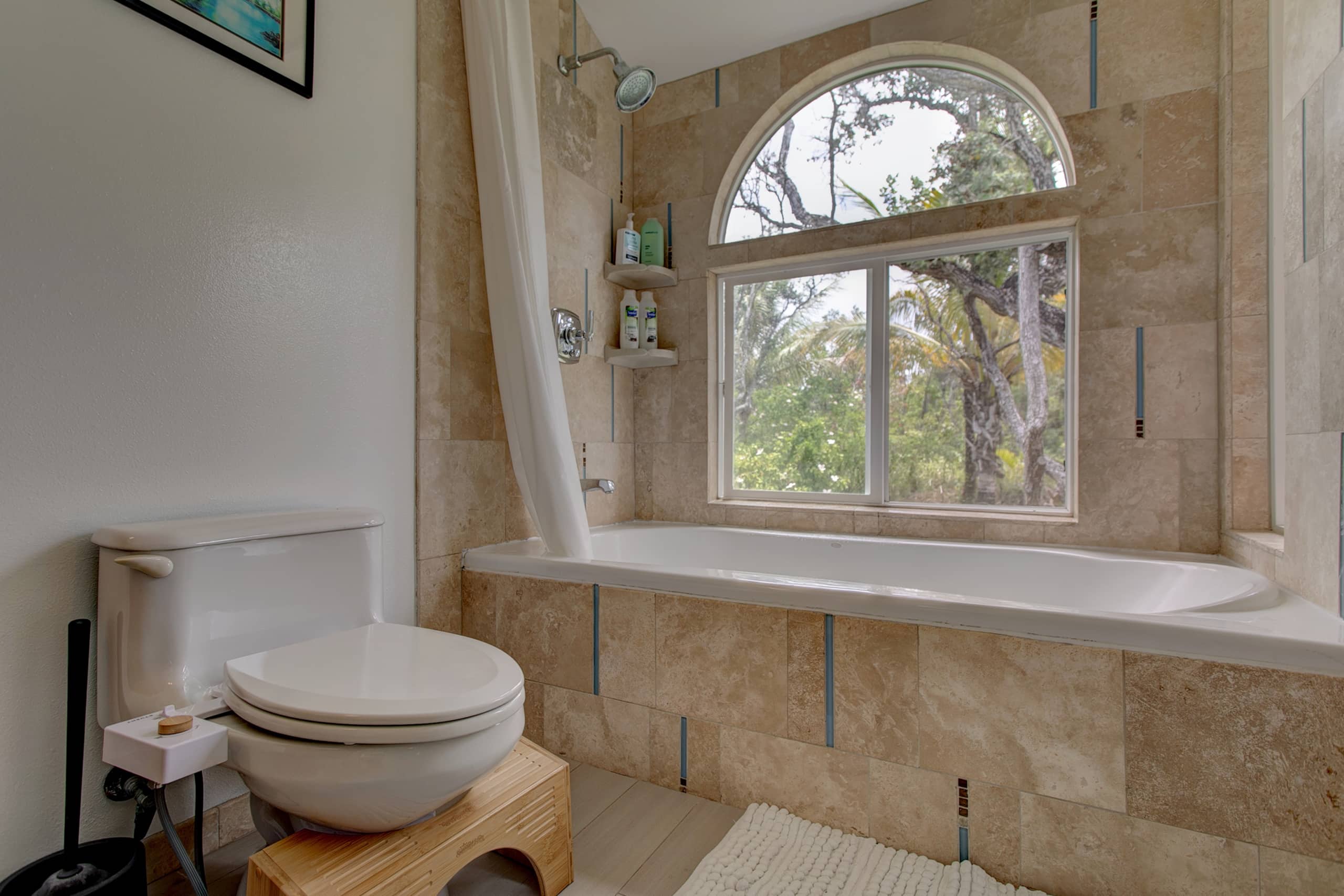 Home in Pahoa · ★4.86 · 1 bedroom · 1 bed · 1 bath - Image 15
