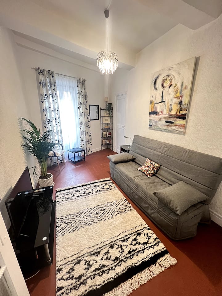 2 Bedrooms Apartment - Garibaldi - Ibis Styles Nice Centre Port
