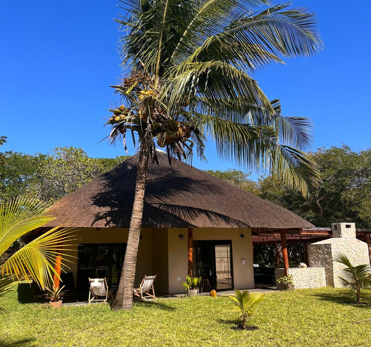 A tropical lodge is surrounded by lush greenery, featuring a thatched roof and wooden accents. Two lounge chairs are placed on the patio in front of expansive glass doors, allowing direct access to the inviting outdoor space. A clear blue sky enhances the tranquil setting.