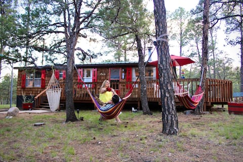 Secluded | Peaceful | Wildlife | Fishing | Hunting