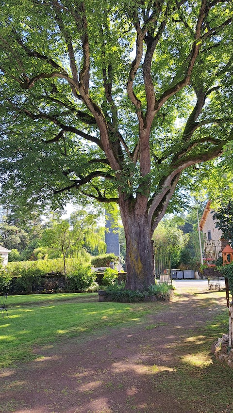 Pontgibaud Maison Le Suquet. charm, authenticity