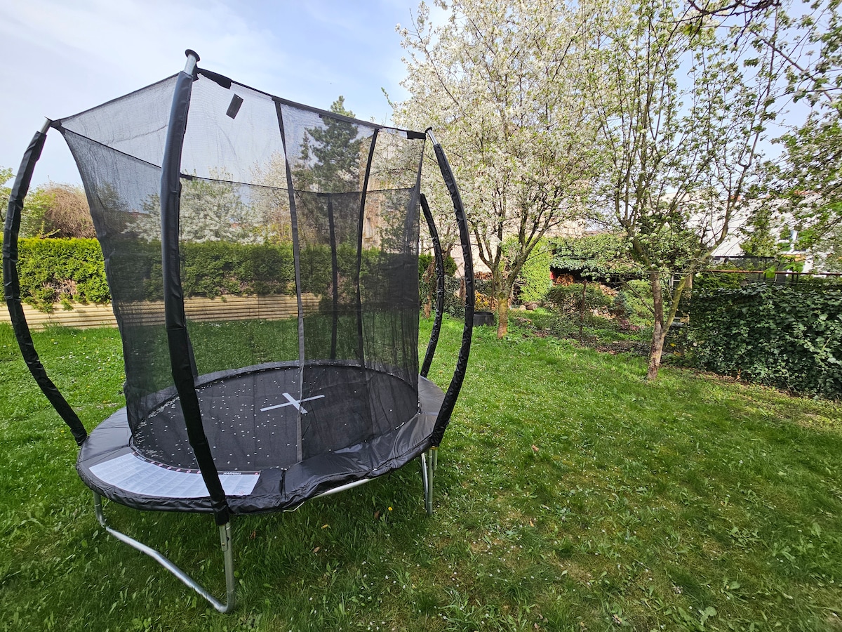 A backyard area is shown with a large trampoline surrounded by grass. The trampoline is enclosed with a safety net and sits underneath a clear blue sky. Nearby, blooming trees and lush greenery enhance the natural setting.