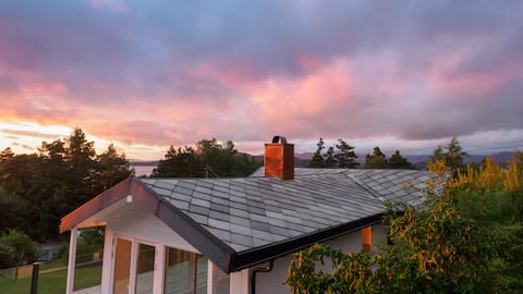 Mopptur, Kongeparken & Prekestolen for the family