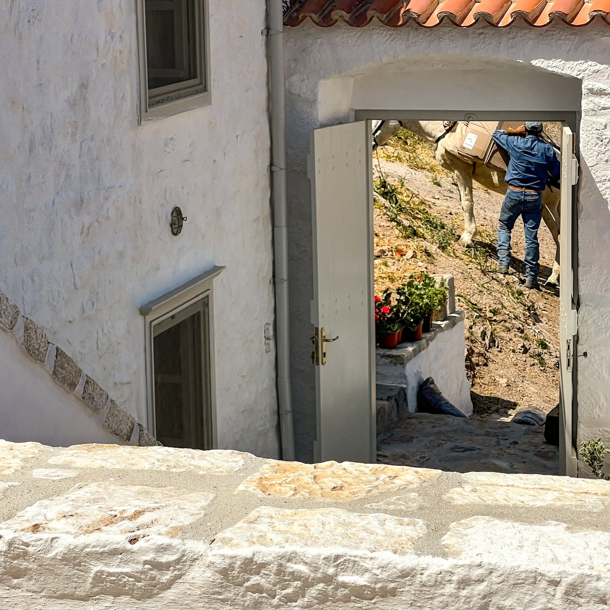A sturdy, light grey door is shown ajar, revealing a glimpse of the exterior area. A person is seen carrying a box, with vibrant potted plants lining the entrance. The stone wall and traditional architecture are visible, reflecting the villa's rustic charm.
