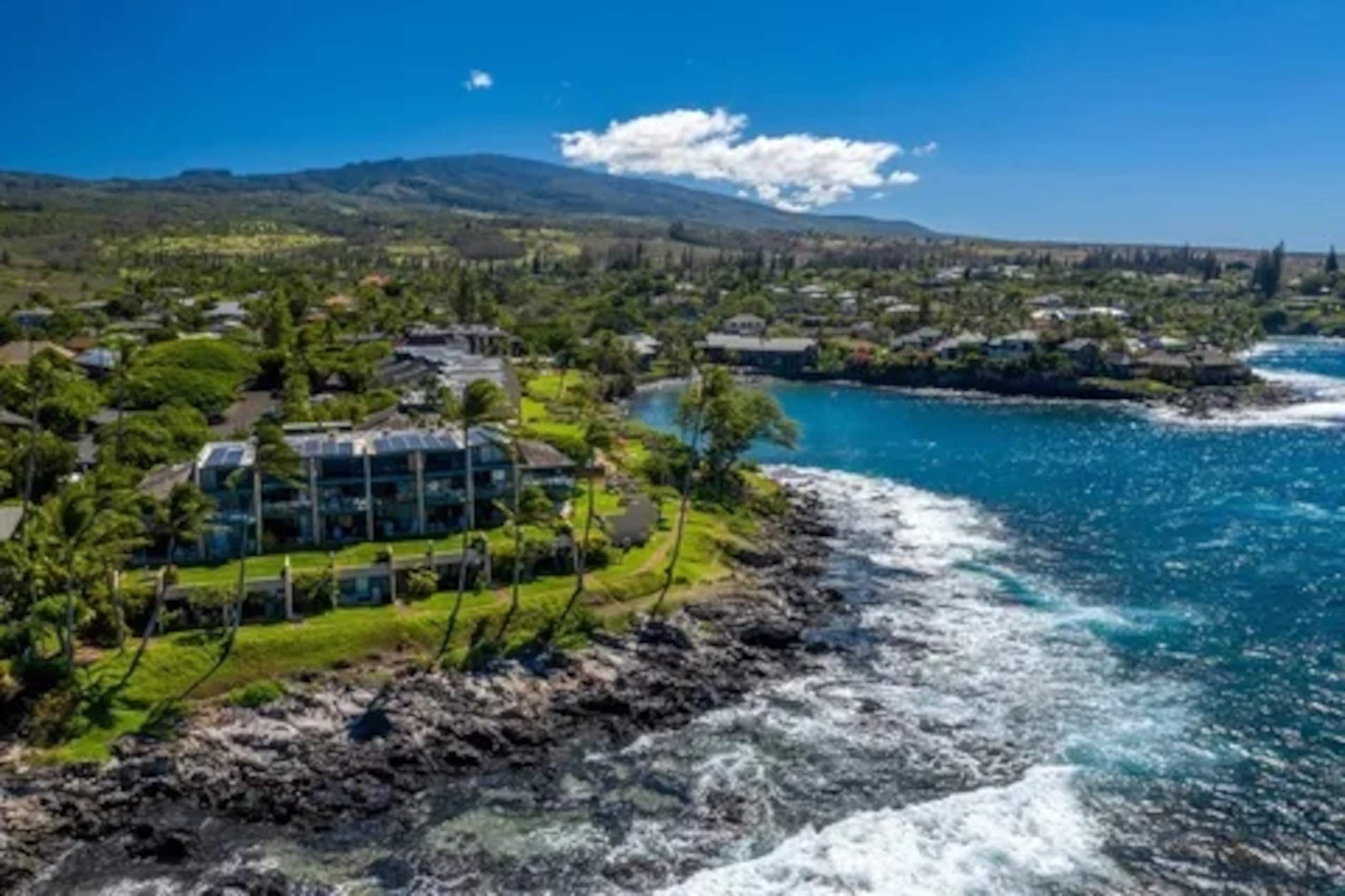 Townhouse in Lahaina · ★5.0 · 1 bedroom · 2 beds · 1 bath - Image 24