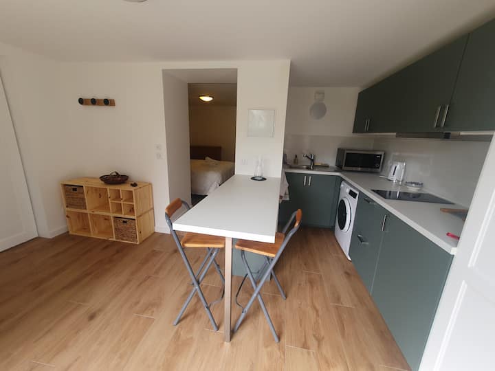Studio Dans Villa à Annecy - Annecy