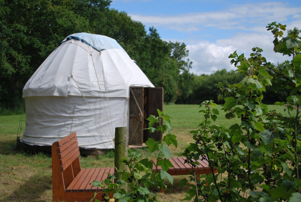 A yurt is nestled in a grassy area, surrounded by greenery. A wooden bench is positioned nearby, offering a place to relax. The structure features a circular design with a domed top, and a wooden door is visible, blending with the natural landscape.