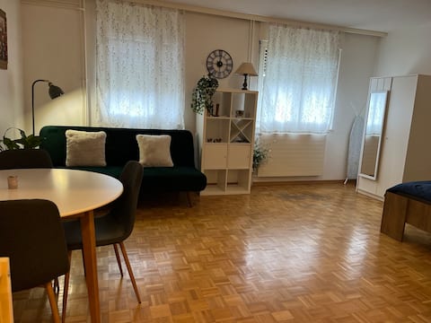 Studio in Grand Saconnex