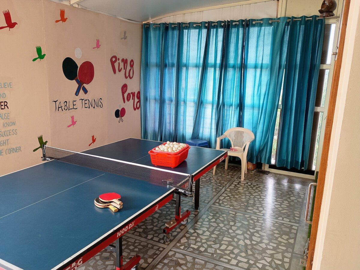 A dedicated recreational area features a table tennis setup with a red basket of balls nearby. Bright blue curtains filter natural light, creating a relaxed atmosphere. The room includes a simple white chair and is decorated with playful wall art related to table tennis.