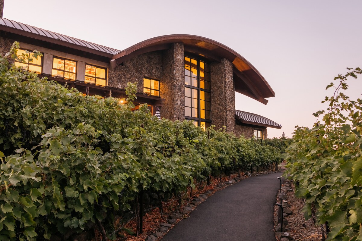 The entrance of a luxurious condo is framed by lush grapevines, leading to a stone building with a distinctive curved roof. Large windows illuminate the interior, welcoming guests as dusk settles around the property.