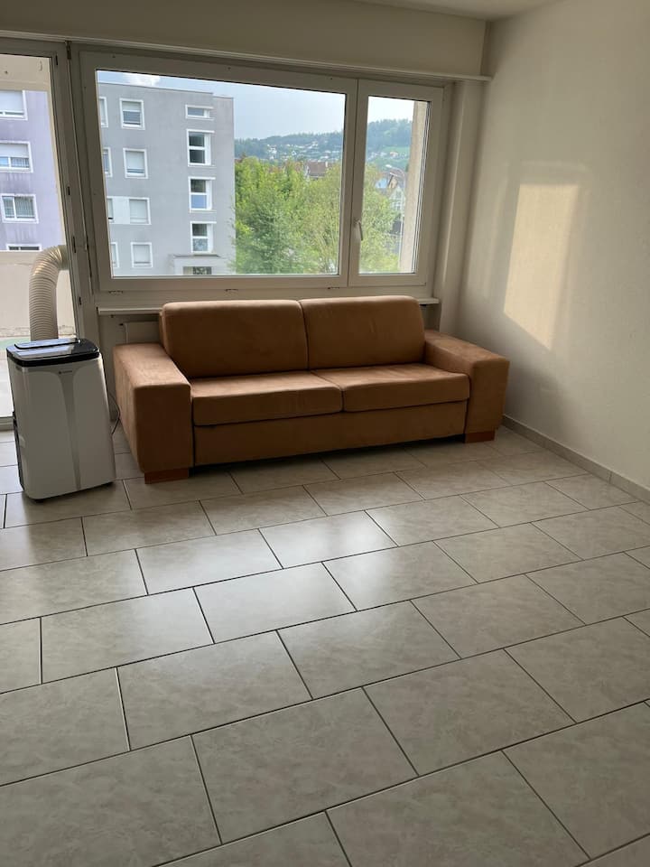 Schöne Wohnung In Schönenwerd - Aarau