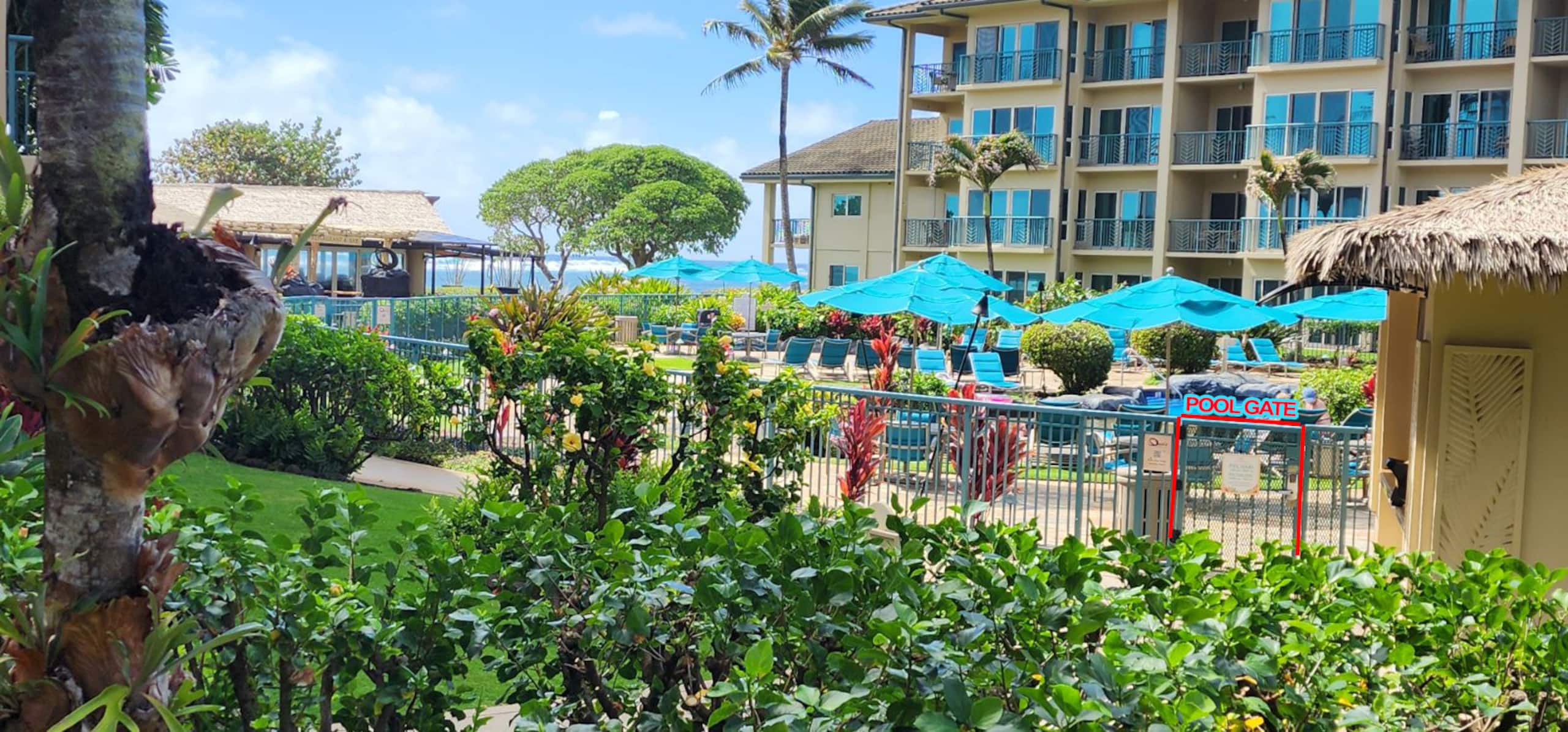 Waipouli Beach Rst 2bd 3bt Pool/Ocean view sleep 8 - Photo 46