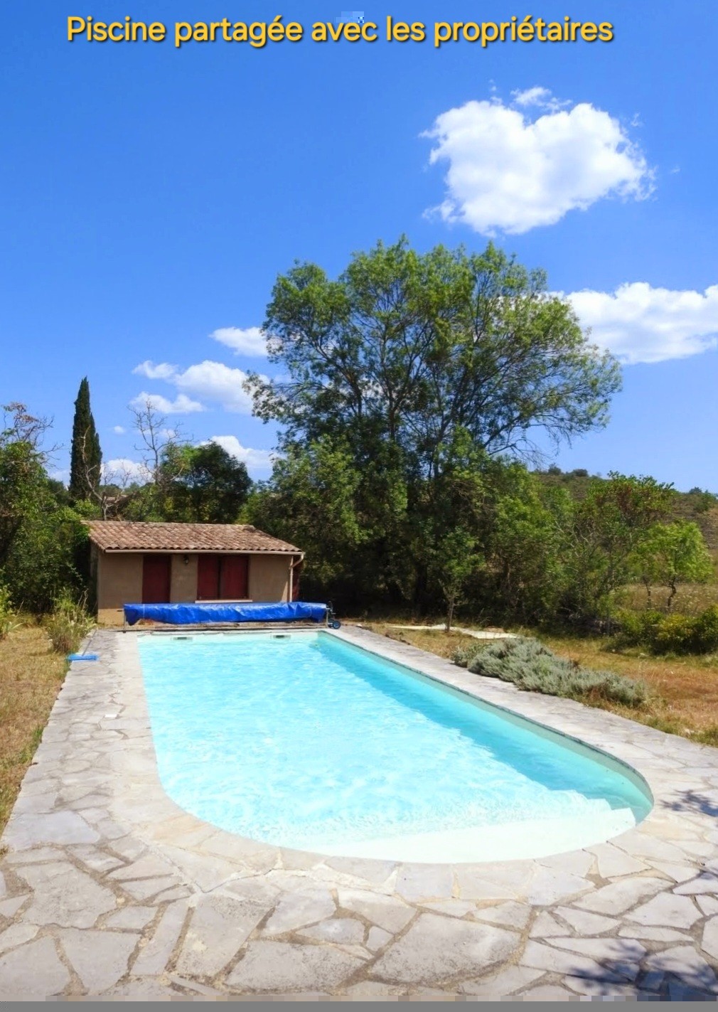 A large outdoor swimming pool is framed by natural greenery and a stone patio. The pool is surrounded by trees, providing shade. A pool cover is partially visible at one end, and a small building is located nearby, featuring a red roof and blue accents.