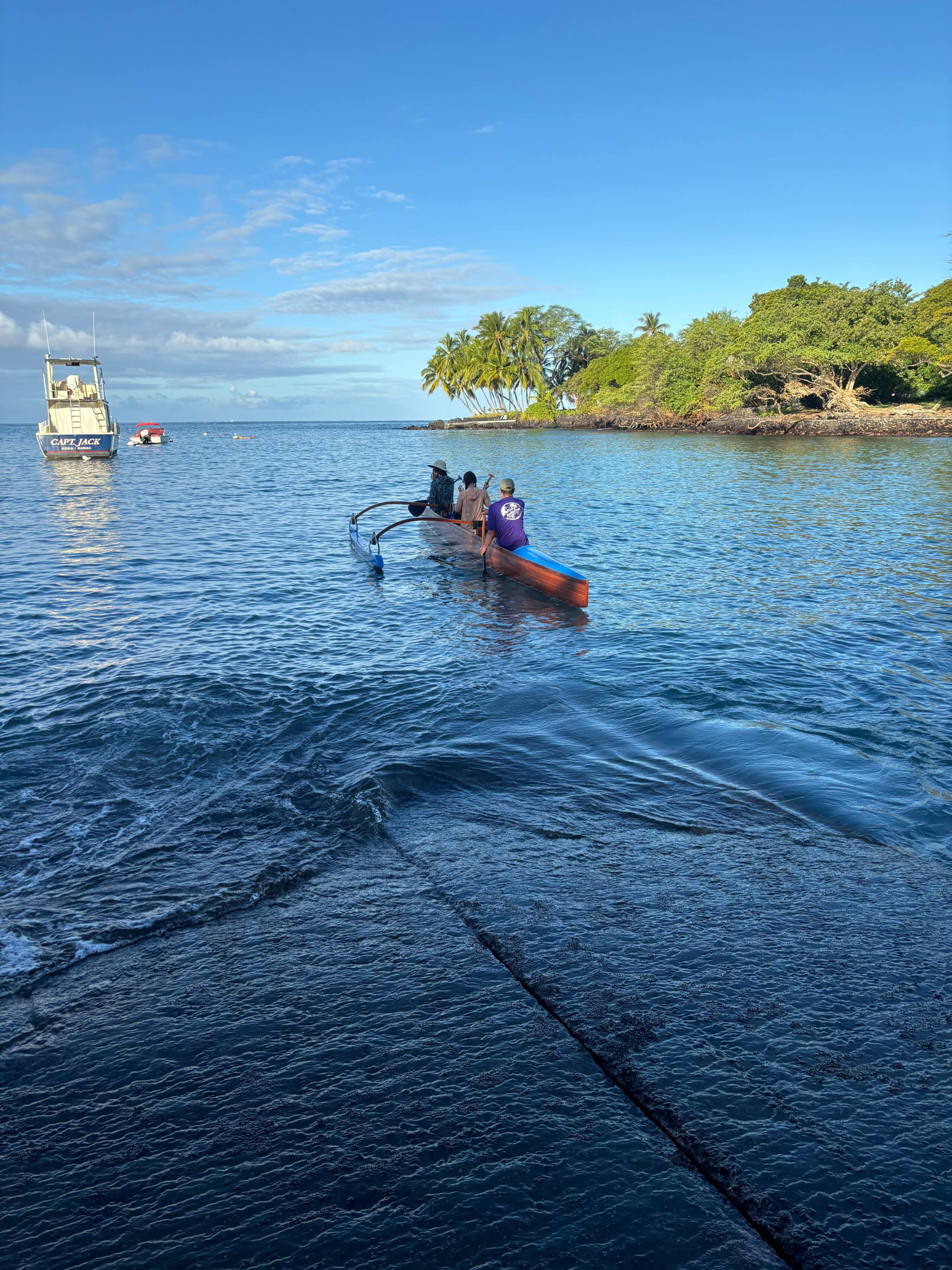 Hidden Gem with Aloha Spirit - Photo 21