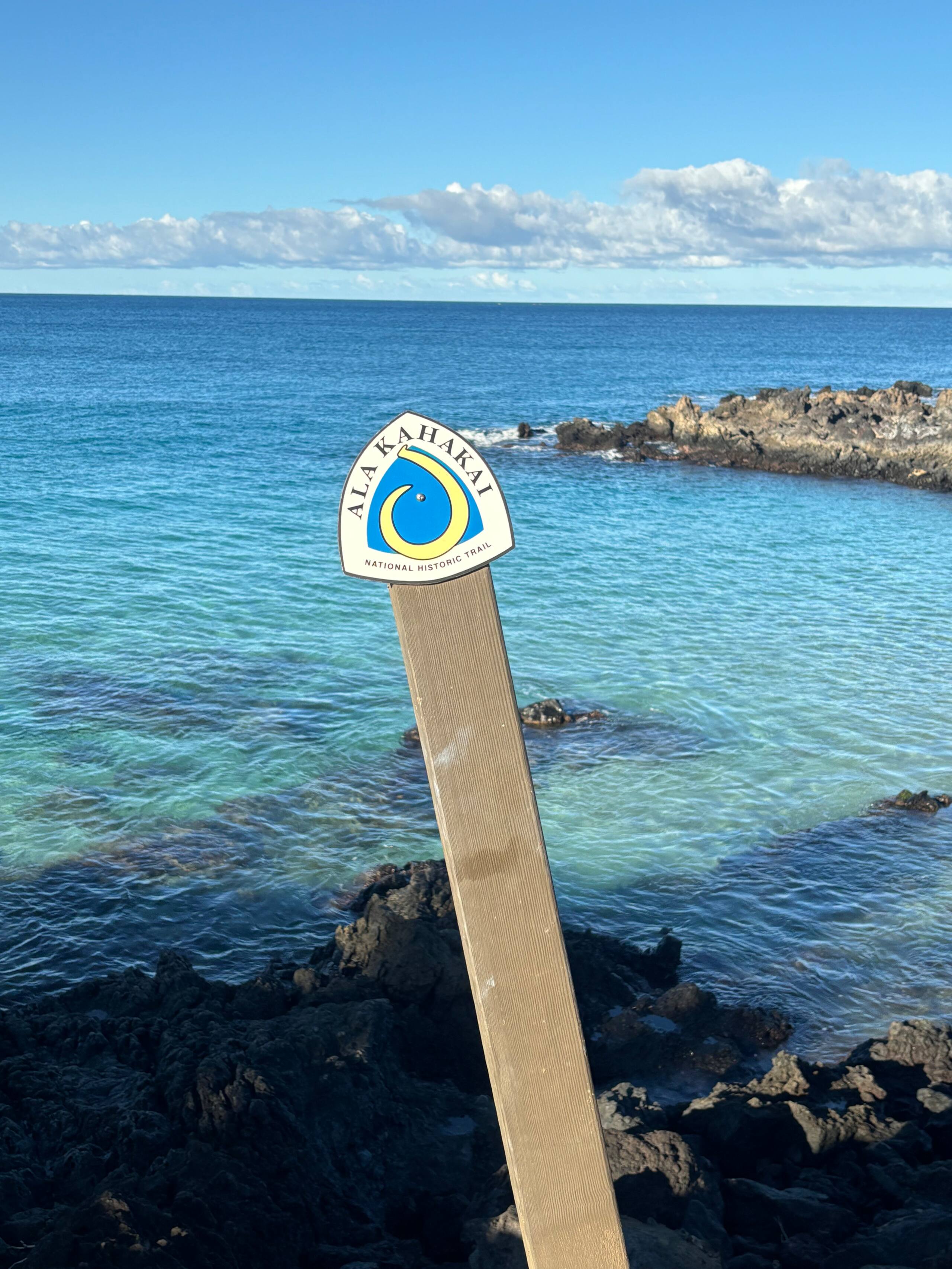 Hidden Gem with Aloha Spirit - Photo 22