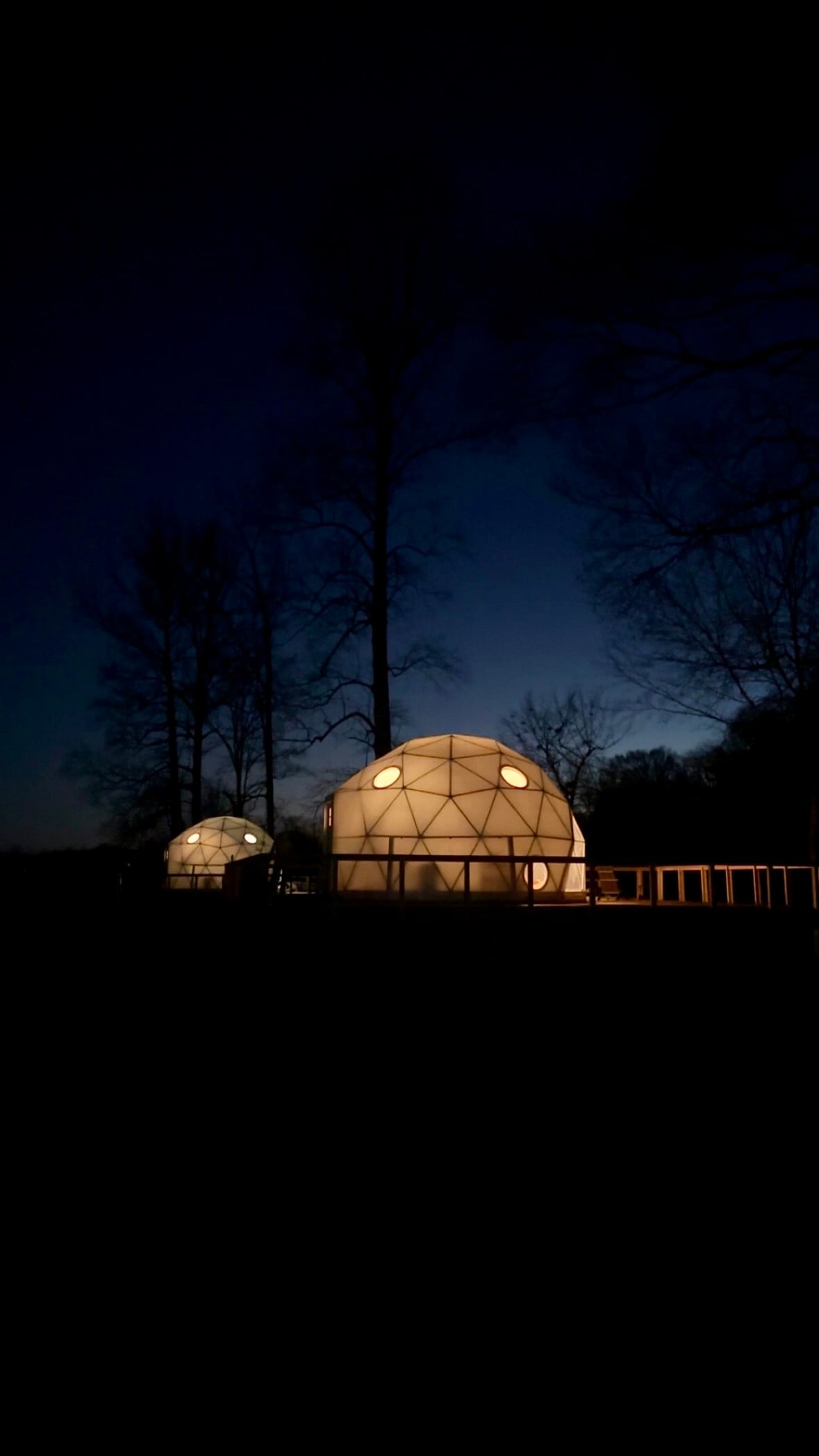 Two illuminated geodesic domes are positioned among tall trees under a twilight sky. Soft light emanates from the domes, creating a serene ambiance amidst the darkening landscape. The domes' rounded shapes and circular windows are highlighted against the backdrop of branches.