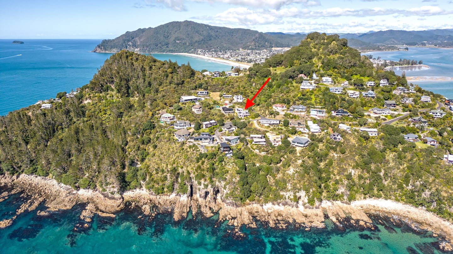 Fantail Ocean View 2