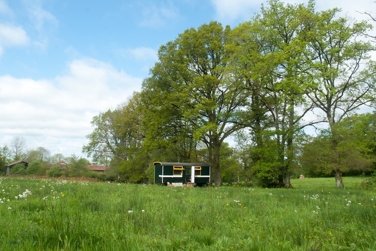 A converted shepherd's hut is nestled among lush green trees in a grassy field, surrounded by nature. The calming scenery includes patches of wildflowers, providing a serene environment. Soft clouds drift across a bright blue sky, enhancing the peaceful setting.