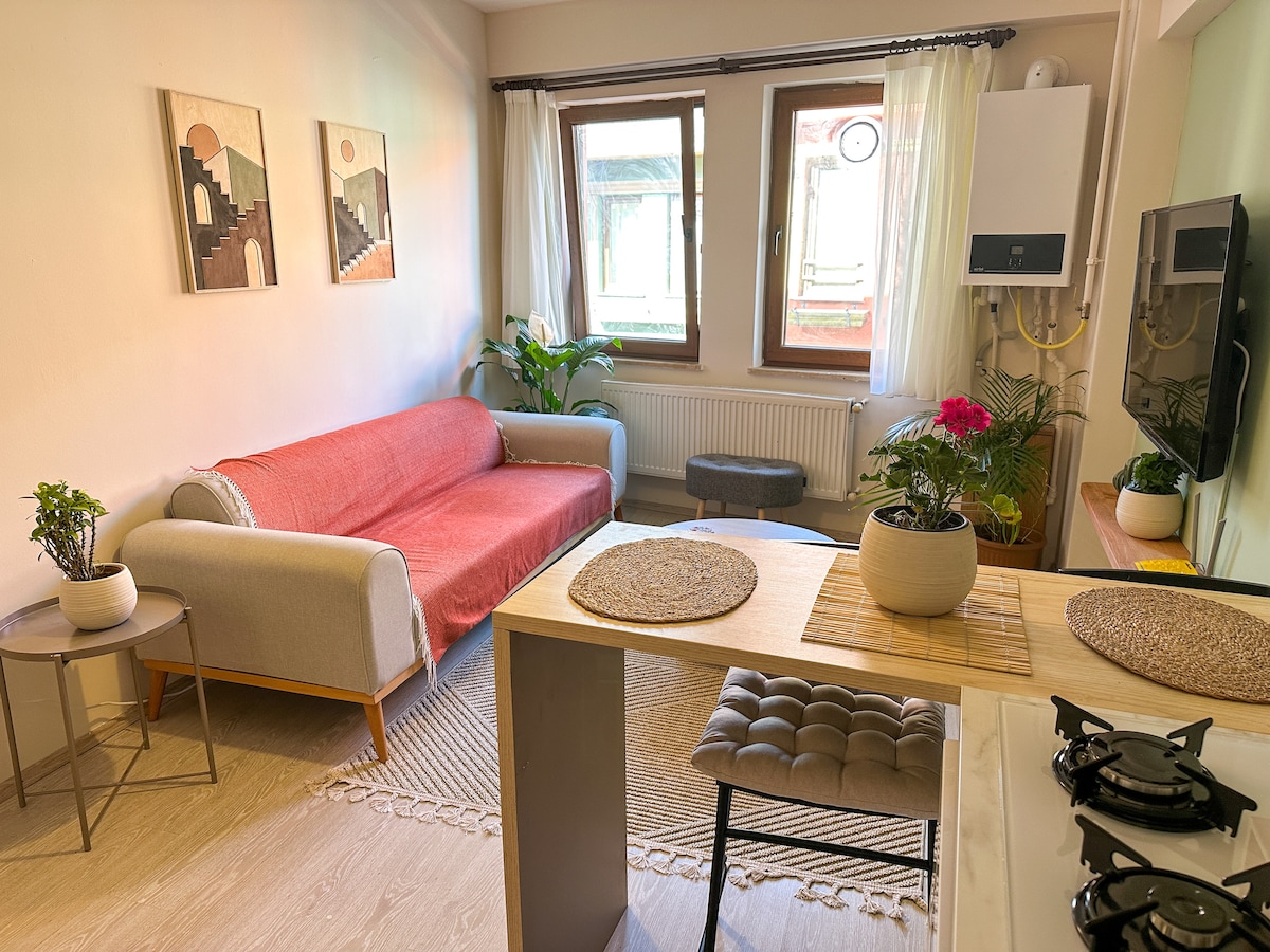 A comfortable living area is showcased with a soft sofa, complemented by a decorative rug and plants. Natural light filters through large windows, brightening the space. The kitchen features a simple countertop with seating, and a small stove is visible in the background.