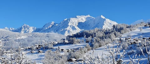 Annonce Airbnb populaire: apartment in mountain chalet facing Mont Blanc à Combloux