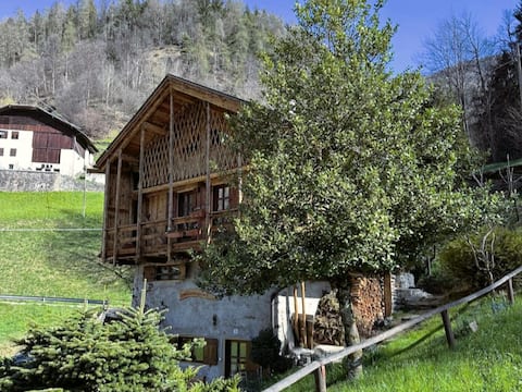 Chalet in Val di Rabbi 12 min from the ski slopes