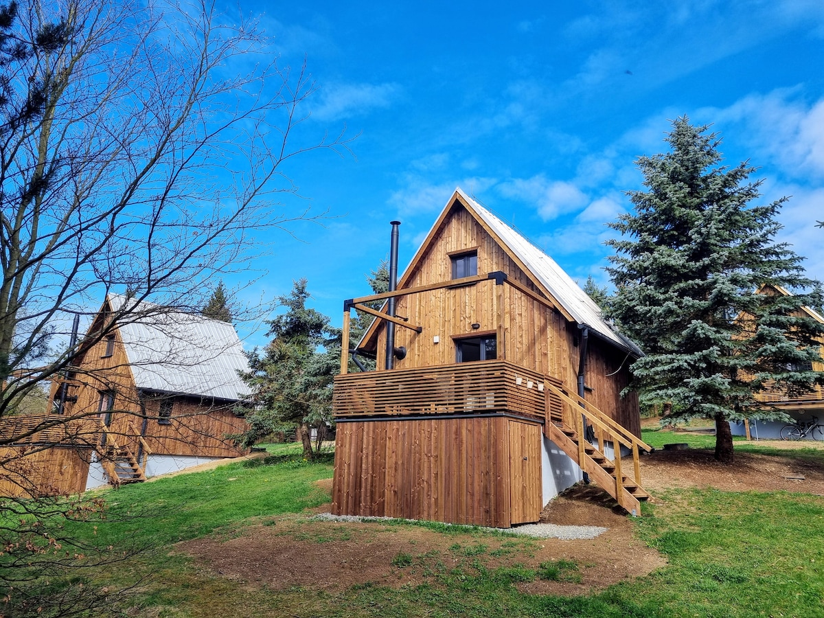 A rustic wooden cabin is featured, surrounded by lush greenery and tall conifer trees. The structure has a sloped roof and a deck with steps leading to the entrance. Clear blue skies provide a bright backdrop, enhancing the outdoor atmosphere.