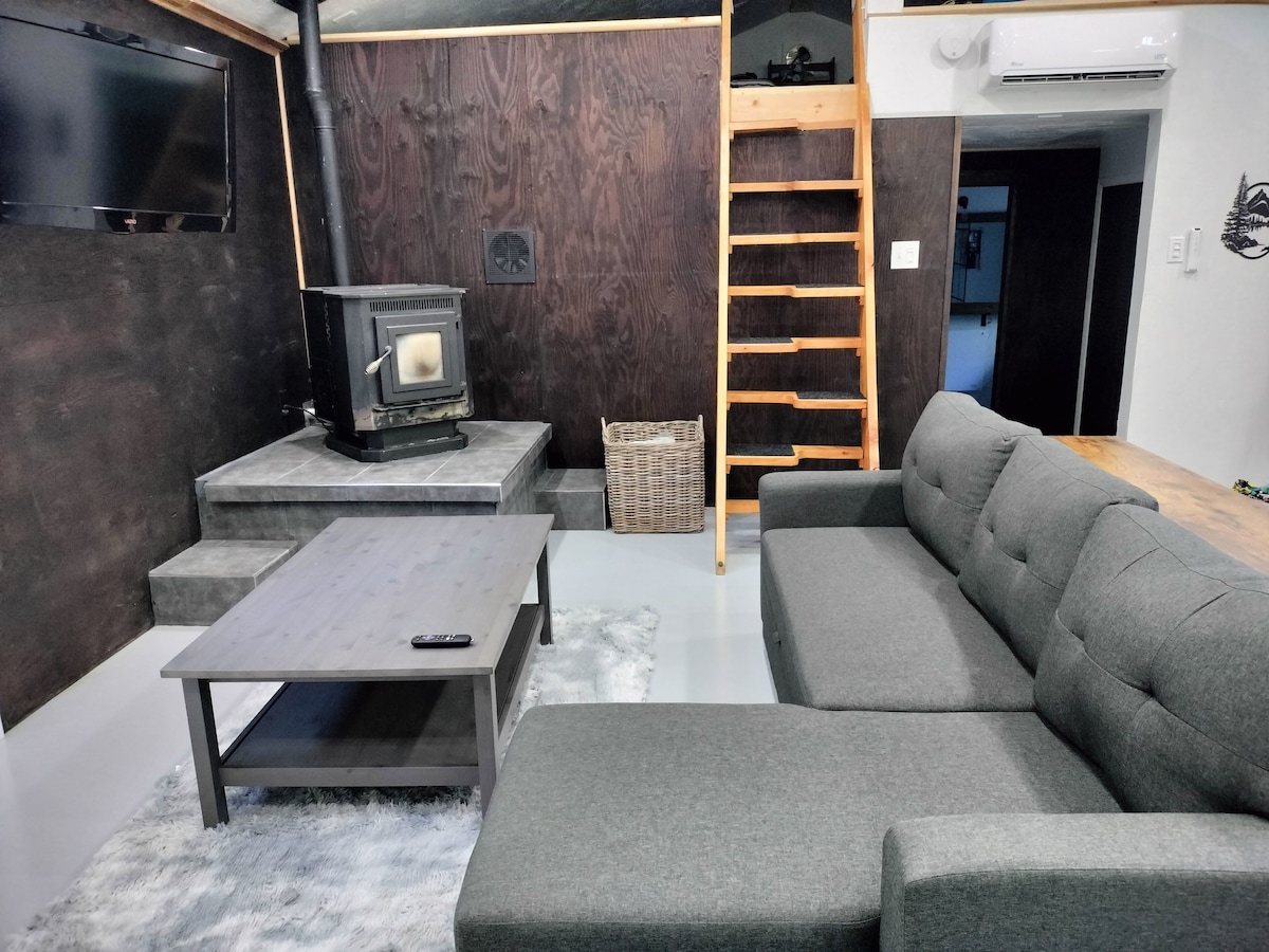 Dhomë ndenjjeje me divan fjetjeje, sobë me pelet dhe televizor Roku.