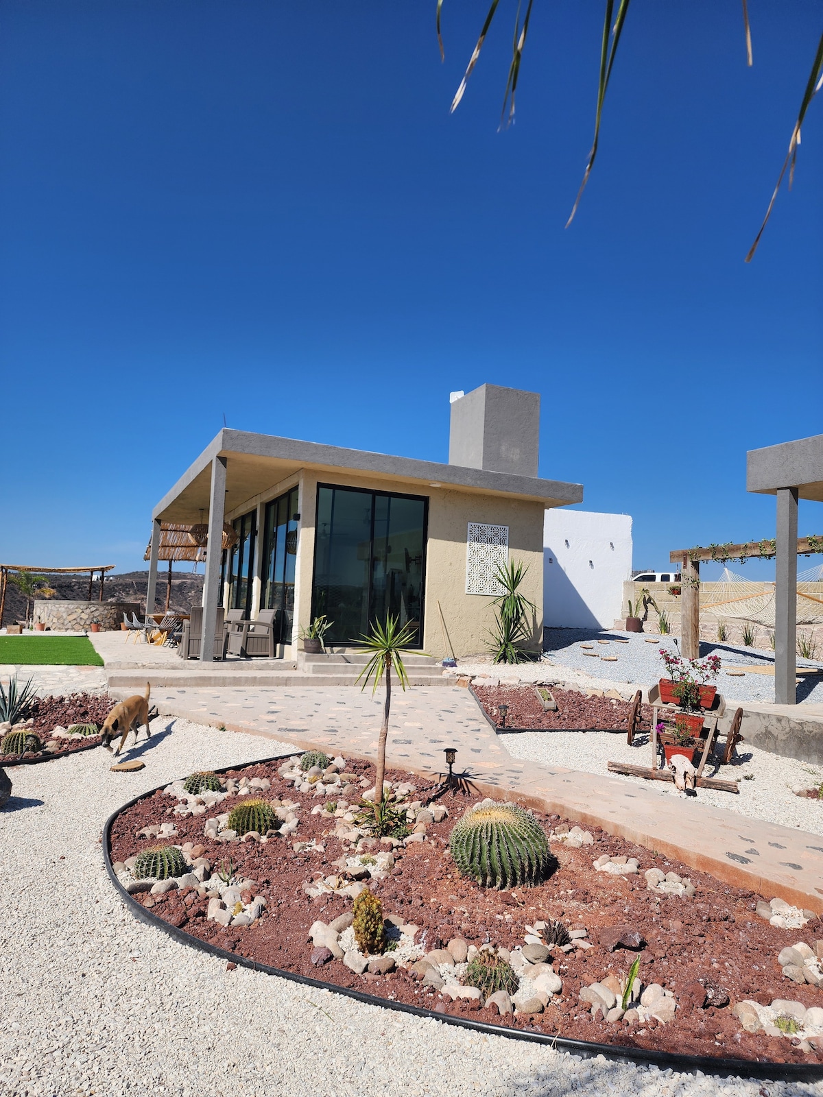 A modern house design is displayed, featuring large glass windows and a welcoming entrance. Surrounding the structure is a landscaped area with various plants and rocks, enhancing the outdoor space. A clear blue sky frames the scene, highlighting the natural surroundings.