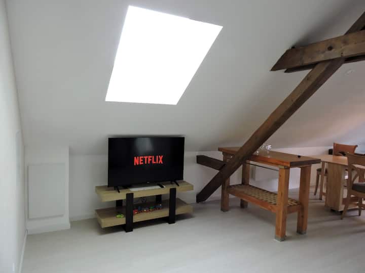 Appartement Cosy Proche Centre - Colmar