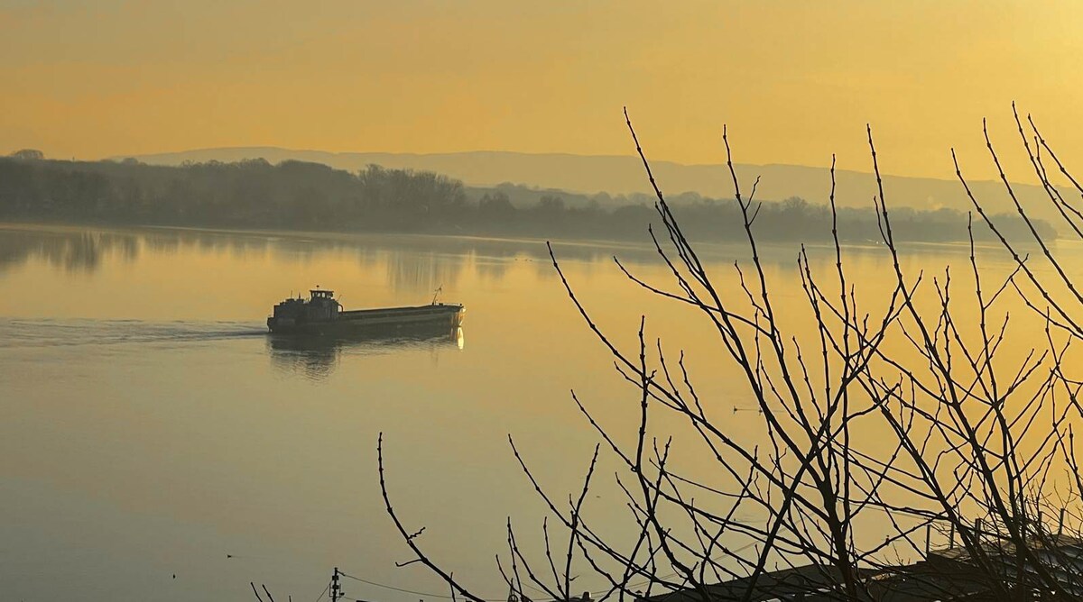 A serene scene of the Danube river is depicted at sunrise, featuring a cargo boat gliding smoothly across the water's surface. Bare branches are visible in the foreground, framing the tranquil landscape where soft golden hues reflect on the calm river.