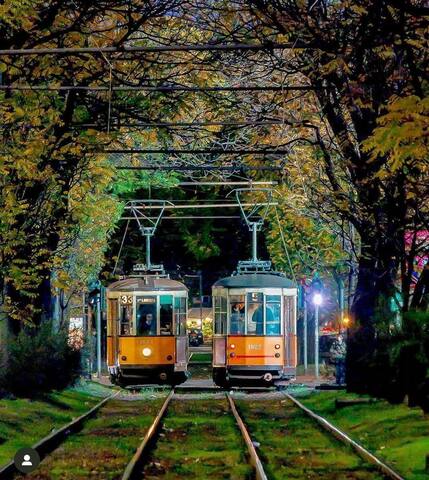 [Urban Elegance] Central Station w/Private Garage gallery image 3