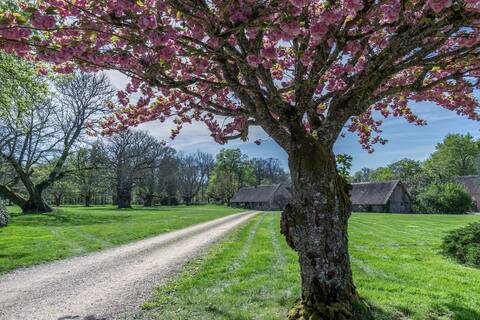 Les Muids Domain - Cottage "La Ferme"