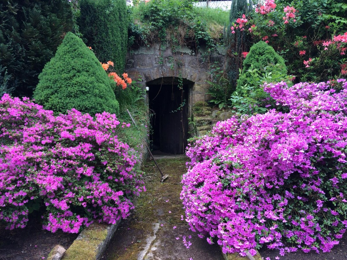 A narrow path is framed by lush greenery and vibrant purple flowers, leading to an arched entrance. The surrounding foliage creates a serene and inviting ambiance, with well-maintained plants enhancing the natural beauty of the area.